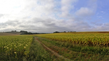 LIVERS-CAZELLES-tarn