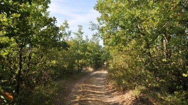 ENTRE ITZAC ET ALAYRAC-tarn