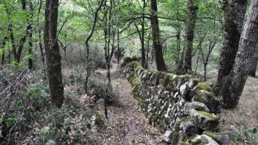 GRESIGNE - LE MUR LOUIS XIV-tarn