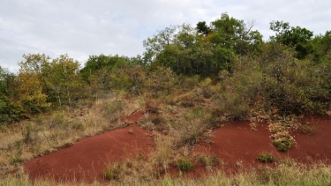 GRESIGNE - LE MUR LOUIS XIV-tarn