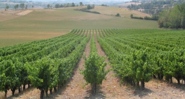 RABASTENS - SENTIER DES CHAPELLES-tarn