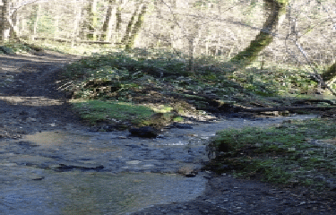 BALADE DANS LA CAMPAGNE AU-DESSUS DE NOAILHAC-tarn