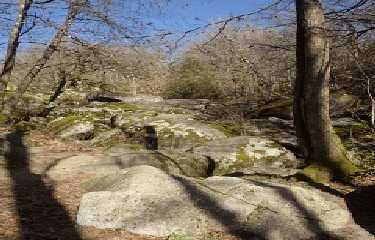 BOISSEZON - CHAOS DE LA BALME - BOUCLE 17 KMS-tarn