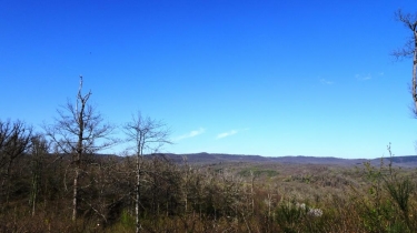 LE MAQUIS DE GRESIGNE (II)-tarn