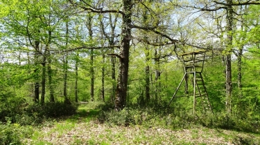 GRESIGNE - AUTOUR DE L INFERNOU - VERSION COURTE-tarn