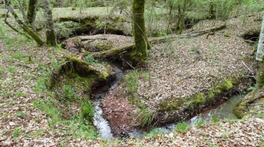 GRESIGNE - AUTOUR DE L INFERNOU - VERSION COURTE-tarn
