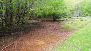 GRESIGNE - AUTOUR DE L INFERNOU - VERSION LONGUE-tarn