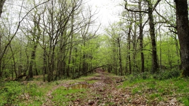 GRESIGNE - AUTOUR DE L INFERNOU - VERSION LONGUE-tarn