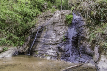 CRESPIN - LE CEROU-tarn