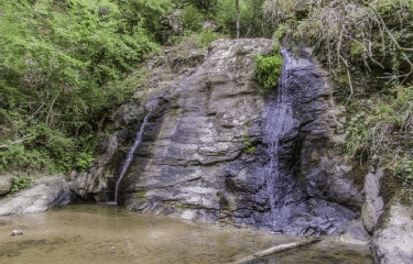 CRESPIN - LE CEROU-tarn