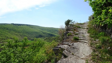 MILHARS - LE RUISSEAU D AYMER-tarn