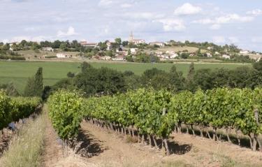 SENOUILLAC - SENTIER DES QUATRE CHATEAU-tarn
