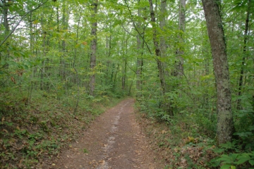 LISLE-SUR-TARN - LES SENTIERS DE SIVENS-tarn