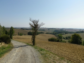 RABASTENS - VALLONS ET FORETS-tarn