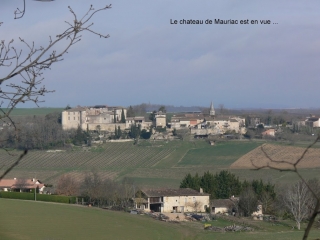CAHUZAC-SUR-VERE-tarn