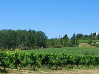 RABASTENS - BOUCLE DE SAINT MARTIN-tarn