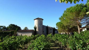 SALETTES - FAYSSAC-tarn