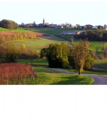 CASTANET - SENTIER DES MOINES-tarn