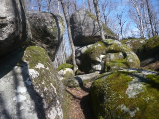 ST-SALVY-DE-LA-BALME-tarn