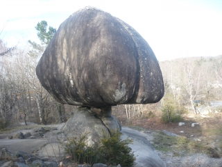 ST-SALVY-DE-LA-BALME-tarn