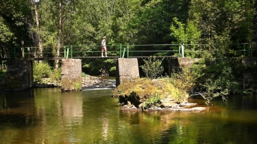 PAMPELONNE - SENTIER BOTANIQUE-tarn