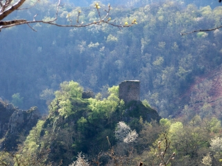 PAMPELONNE - CIRCUIT DU CHATEAU DE THURIES ET DU VIAUR-tarn