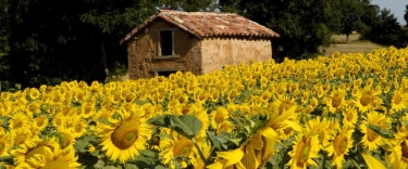 PAMPELONNE - SENTIER DES OUSTALOUS-tarn