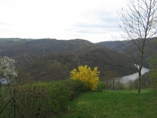 PAMPELONNE - SENTIER DE THURIES-tarn