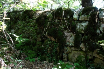 FORET DE GRESIGNE-tarn