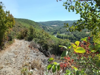 BOUCLE DE ROUSSERGUES VERS LA FALAISE DE LA CROIX-tarn