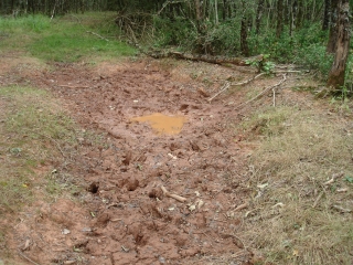 OPPIDUM DU RENARD-tarn