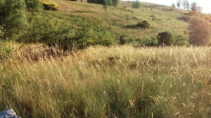 LE GARRIC - SAINTE MARGUERITE-tarn