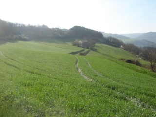 VILLENEUVE-SUR-TARN - LOU CAMI DELS CASTANHALS-tarn
