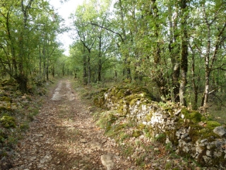 MILHARS - SENTIER DE DECOUVERTE DE BONNAN-tarn