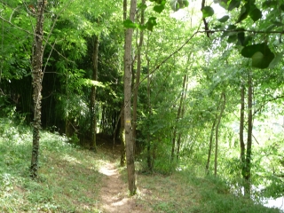 SENTIER DES FONTAINES-tarn