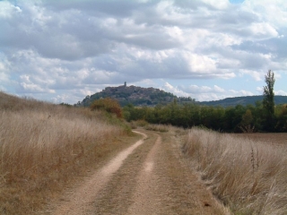 LES CABANNES - LACAPELLE-SAINTE-LUCIE-tarn