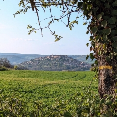CORDES SUR CIEL - LE SENTIER DU CAUSSE-tarn