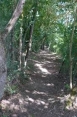 GARRIGUES - SENTIER DU BOIS REVEL-tarn