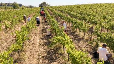 FAYSSAC - PASSION 2-tarn