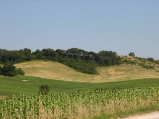 PUYLAURENS - BOUCLE D EN GUIBAUD-tarn
