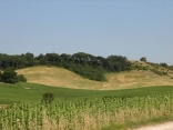 PUYLAURENS - BOUCLE D EN GUIBAUD-tarn