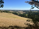 PUYLAURENS - BOUCLE DU LEVANT-tarn