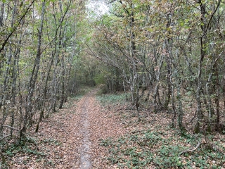 SEMALENS - LES PLOS DE DRULHE-tarn