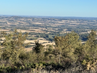 MASSAGUEL - LES VESTIGES DE CONTRAST-tarn