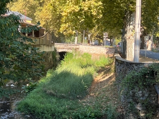 SOUAL - LE CŒUR DU VILLAGE-tarn