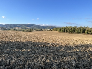 ST-AFFRIQUE-LES-MONTAGNES-tarn