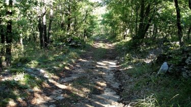 MILHARS - GREZELLES-tarn