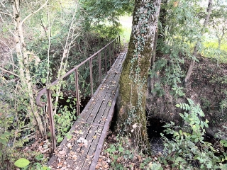 SALVAGNAC - LA VIRADA DEL TESCOU-tarn