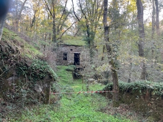 LEDAS-ET-PENTHIES - CIRCUITS PEDESTRES DU MOULIN DE PENTHIES-tarn