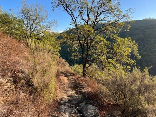 FRAISSINES - LES CORNICHES DU TARN-tarn